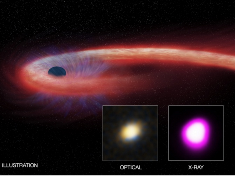 Artist's view of the star's material (red) absorbed by a black hole, and generating X-ray emissions during an event called tidal destruction.