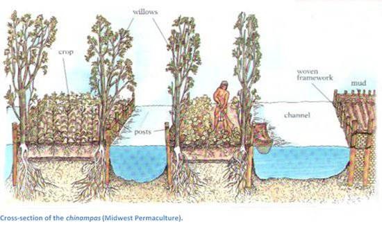 The Ingenious Floating Gardens Of The Ancient Aztecs The Ancient
