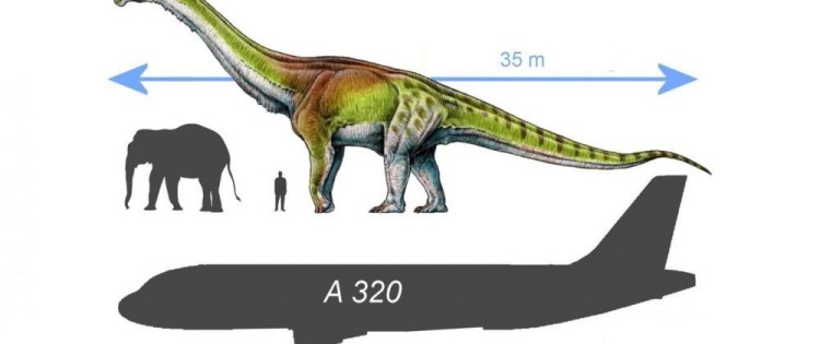 Representation at the scale of Patagotitan mayorum, an airbus A320, a man and an elephant