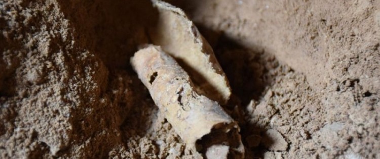 cover-r4x3w1000-589c82ce50bd5-Fragment de rouleau sans écriture, retrouvée dans la grotte Q12, à QUmran Crédits Casey L. Olson et Oren Gutfeld, Université Hébraïque