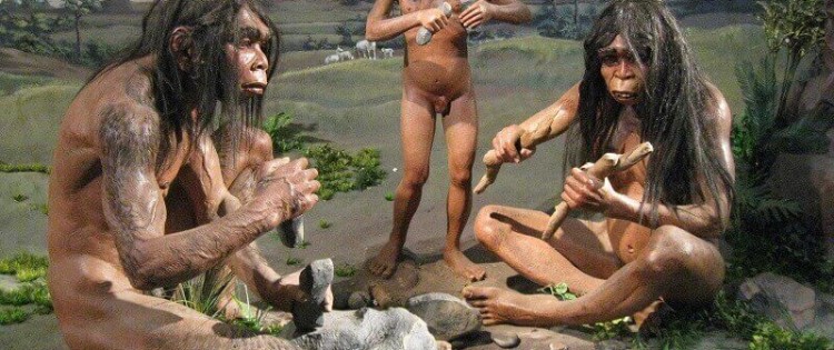 Homo erectus © National Museum of Indonesia