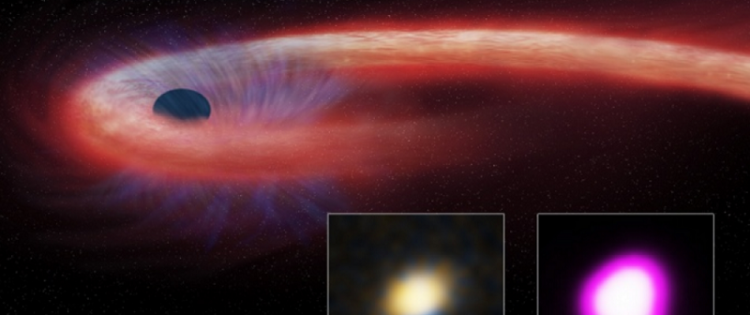 Artist's view of the star's material (red) absorbed by a black hole, and generating X-ray emissions during an event called tidal destruction.