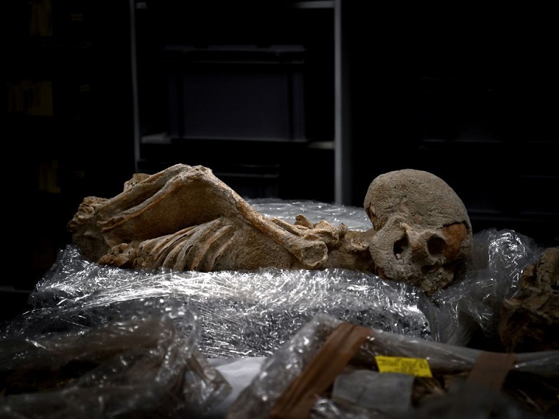The human skeletons were transferred to a laboratory of the American School of Archeology in Athens, July 7, 2017