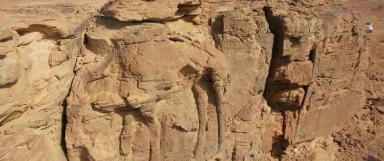 A standing dromedary, carved in high relief, on the facade of a rocky outcrop in the Jawf province (Saudi Arabia).
Credits: CNRS / MADAJ, R. Schwerdtner